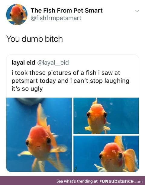 Poor fish