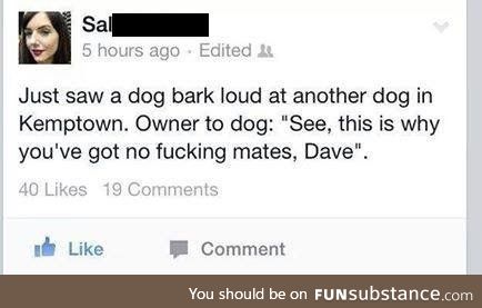 Dammit dave