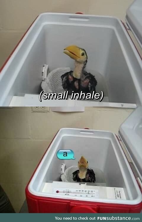 Small inhale