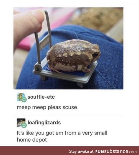 Smol boulder fren