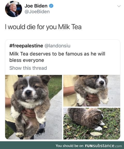 Milk tea