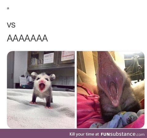 a vs AAA