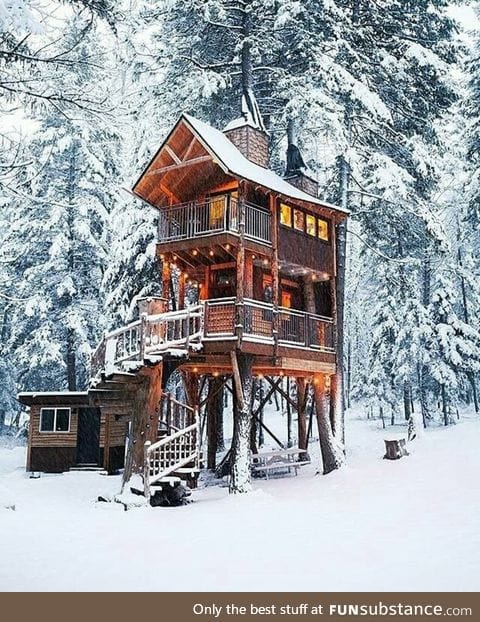 Tiny tree-house cabin in the forest