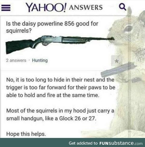 Squirrel safety