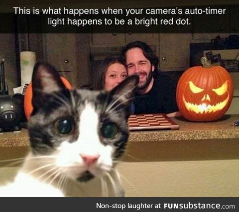 Cat: Wait, let me clear the shot first.