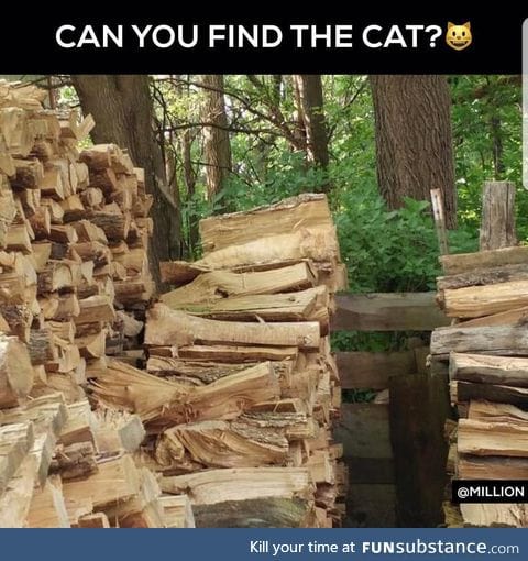 Can you find it?