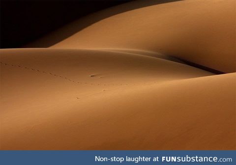 Send dunes