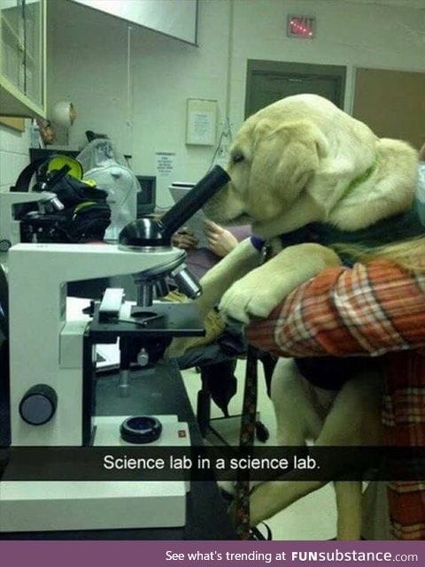 Science lab