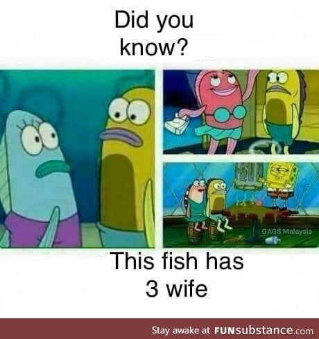 Did you know?