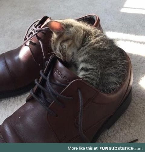 Shoes for scale… and bed