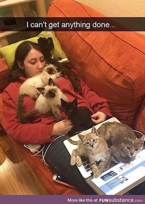 Cat lady