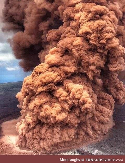 Giant chicken tenders in hawaii right now