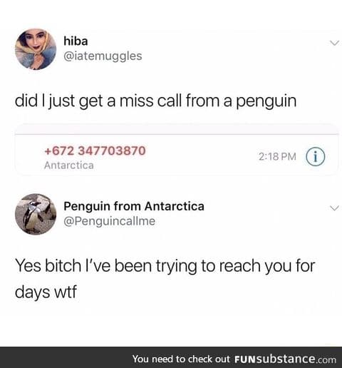 Penguin