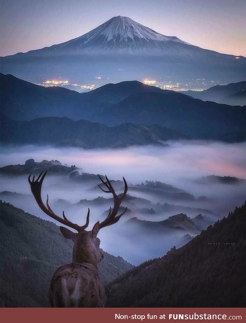 Shimizu-ku, Shizuoka, Japan