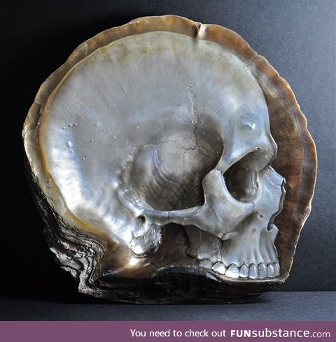 Realistic skulls carved into mother of pearl shells