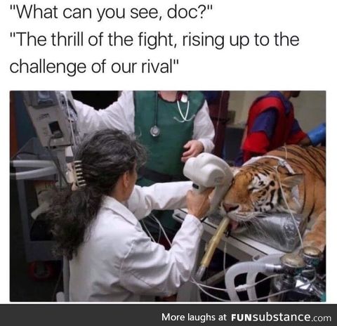 Eye Of The Tiger