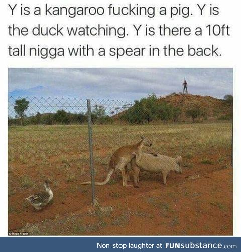 Just Australian things