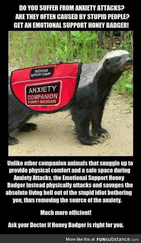 Emotional support animals