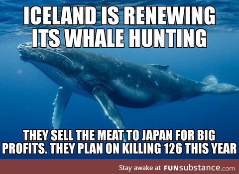 Screw you iceland