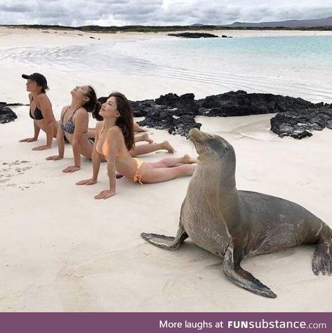 Yoga with the girls