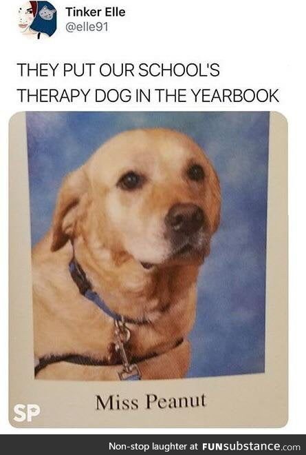 High school girle