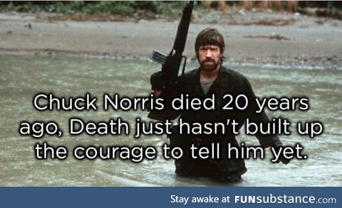 Check Norris fact