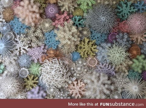 Human microbiome made with cut paper