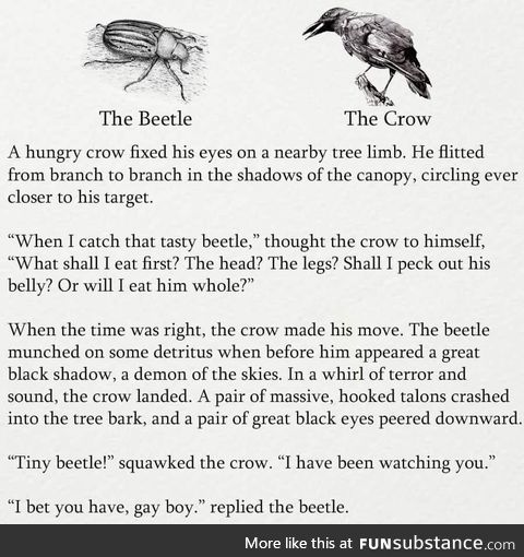 The Beetle and the Crow