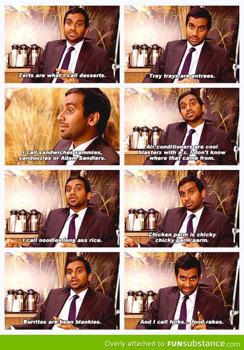 Aziz ansari's food dictionary