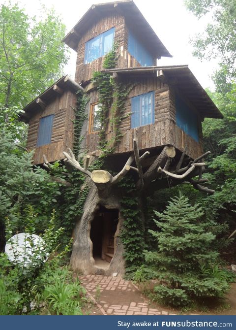 3 story tree house in the woods