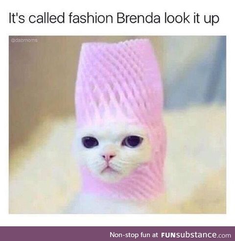 Come on brenda