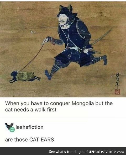 That's a weird looking cat