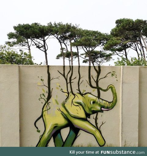 South african street art