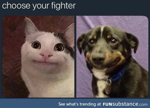 Choose your fighter