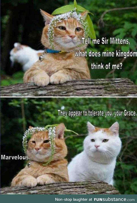 Marvelous