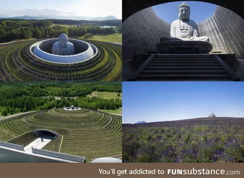 A hidden buddha surrounded by a hill of lavenders, Japan