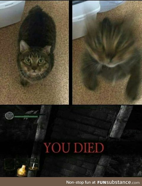 You died