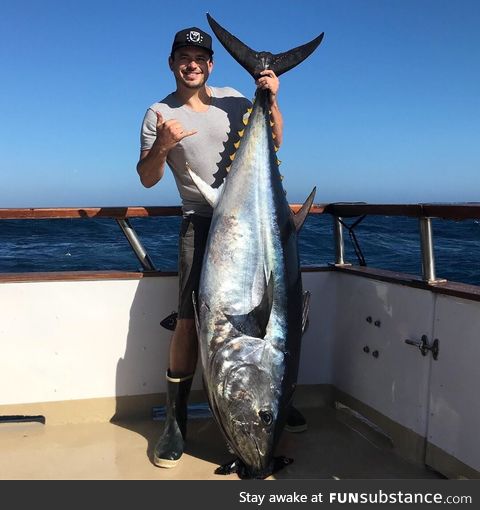 210lb Bluefin tuna in SoCal local waters!