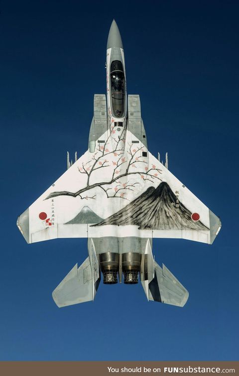 Japan Air Self-Defense Force fighter jet