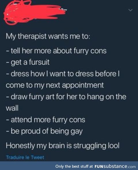 Furry therepist