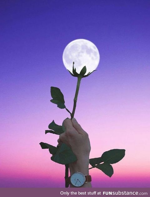 Flower moon