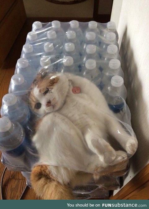 Further proof that cats are liquid