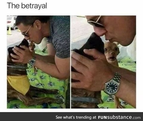 The betrayal