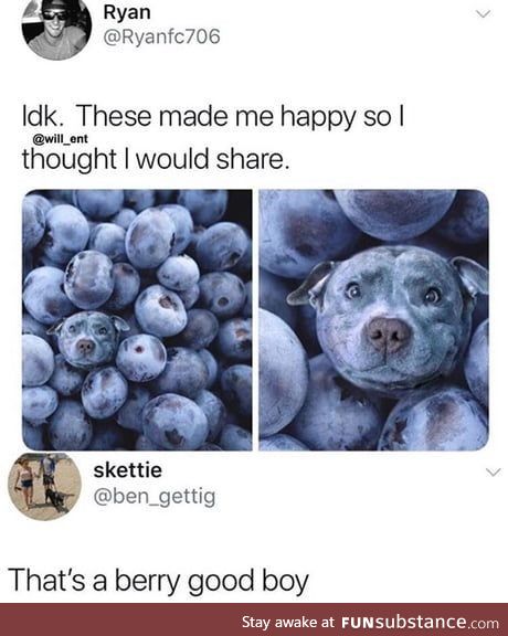 berry good boy