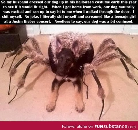 Spider Dog Costume