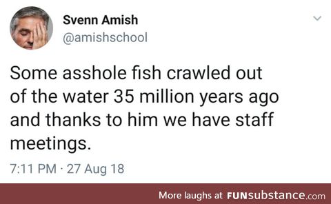 Stupid fish