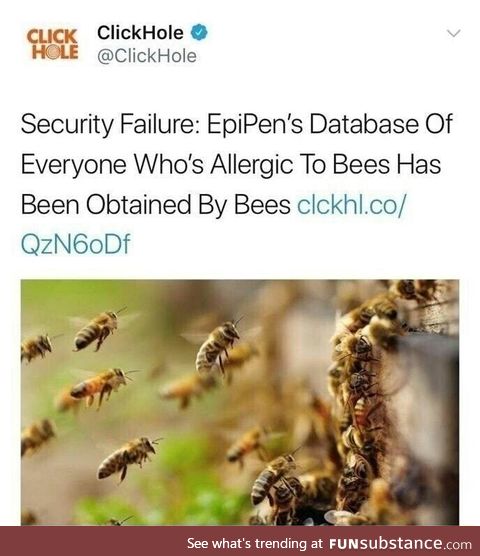 The bees are on to something