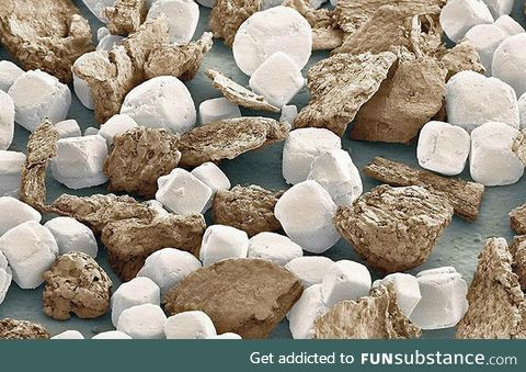 Salt and pepper under an electron microscope look like marshmallows and graham crackers