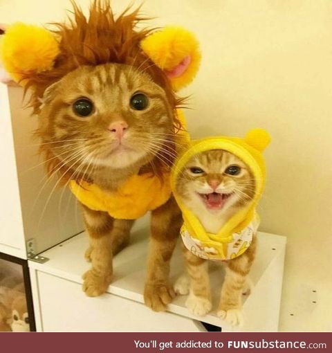 Mufasa and Simba