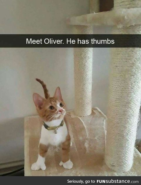 Oliver